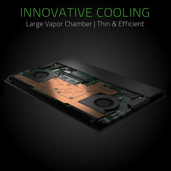 Razer Blade 15 Advance (i7-9750H, RTX 2080, 16GB, 512GB SSD, 15-inch)