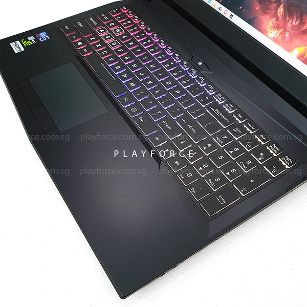 MX15 Pro (i7-8750H, GTX 1060, 8GB, 1TB+128GB SSD, 15-inch)
